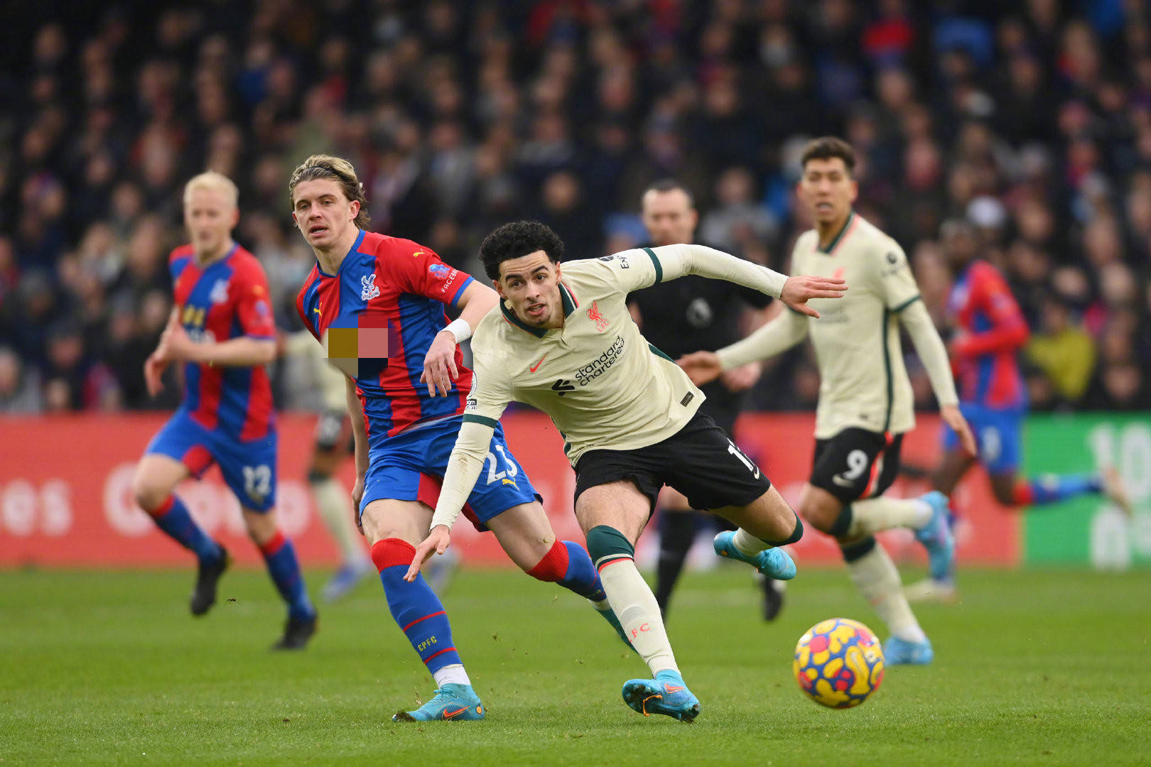 更多这样的 更多这样的